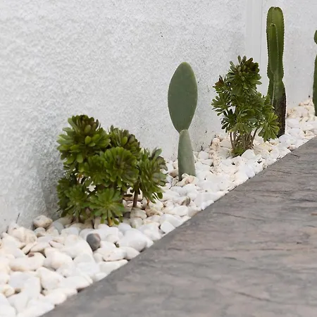 Apartment The Nine Graces -kora, 80m From Beach, Terrace And Jacuzzi Agios Prokopios (Naxos)