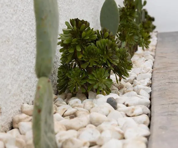 The Nine Graces -kora, 80m From Beach, Terrace And Jacuzzi Apartment